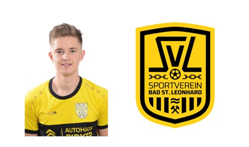 klaus.andreas.steinkellner.ul.ost.leonhard.ki