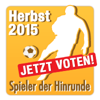 Wähle den "ich-will-zur-em.at" Spieler der Hinrunde 2015/2016