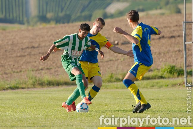 grossmugl -stetteldorf