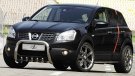 nissan_qashqai_small.jpg