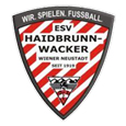 wr-neustadt-haidbrunn esv